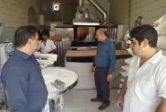 بازدید وضعیت عملکرد نانوائی های سطح روستا