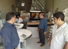 بازدید وضعیت عملکرد نانوائی های سطح روستا