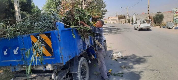 پاکسازی سطح پارک