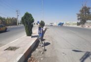 پاکسازی معابر سطح روستا