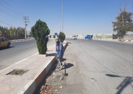 پاکسازی معابر سطح روستا